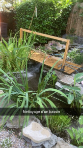 Photo de galerie - Entretien piscine