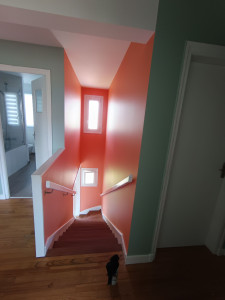 Photo de galerie - Plâtrage et peinture des plafonds et des murs 