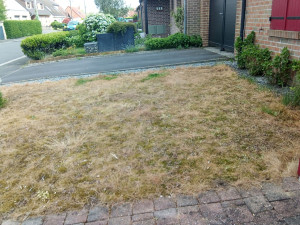 Photo de galerie - Paysagiste - Aménagement du jardin