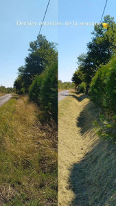 Photo de galerie - Tonte de pelouse - Débroussaillage