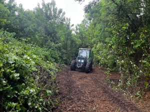 Photo de galerie - Défrichage de ronciers 