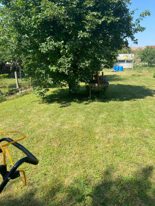 Photo de galerie - Tonte de pelouse 
