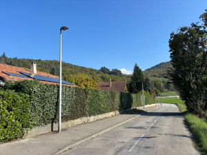 Photo de galerie - Taille de haie avec évacuation des déchets verts sur la commune Eybens 