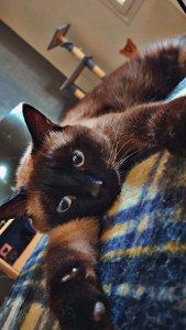Photo de galerie - Nao