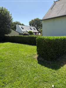 Photo de galerie - Taille de haie 