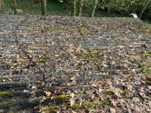 Photo de galerie - Toiture , hangar avant intervention