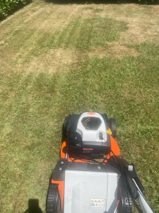 Photo de galerie - Besoin de tonte n’hésitez pas 