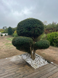 Photo de galerie - Jardinier