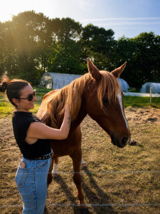 Photo de galerie - Pension chevaux