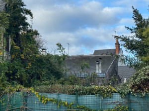 Photo de galerie - Taille de haies et d'arbustes