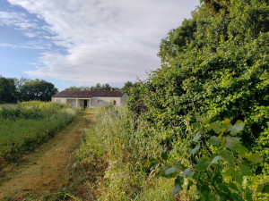 Photo de galerie - Avant 
