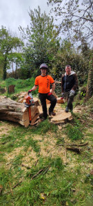 Photo de galerie - Elagage et coupe d'arbres