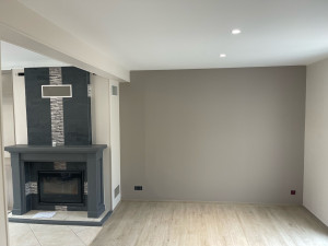 Photo de galerie - Peinture murale 