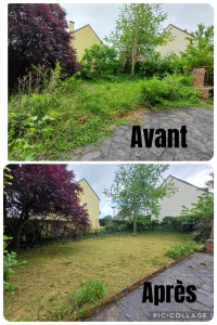 Photo de galerie - Bonjour remise à niveau d’un jardin tonte de pelouse débroussaillage taille de haie élagage du prunus client ravis travaux réaliser par l’entreprise Mr Diehl