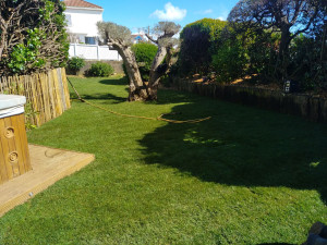 Photo de galerie - Jardinier