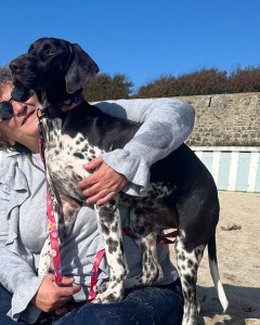 Photo de galerie - .