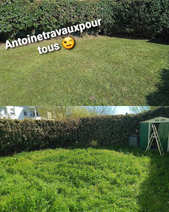 Photo de galerie - Notre réalisation : Remise en état du jardin