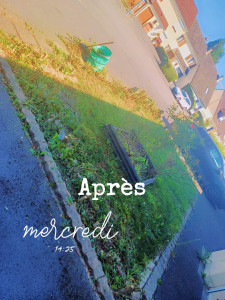 Photo de galerie - Habatage de haie 