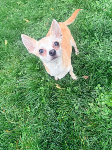 Photo de galerie - TRACY