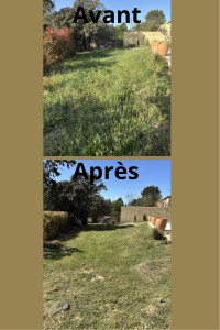 Photo de galerie - Tonte 