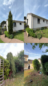 Photo de galerie - Coupe d’arbre 