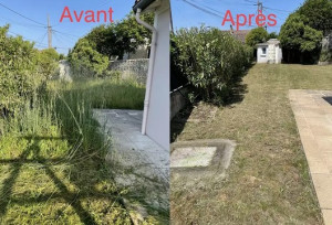 Photo de galerie - Tonde avec faucheuse débrousailleuse a roues 