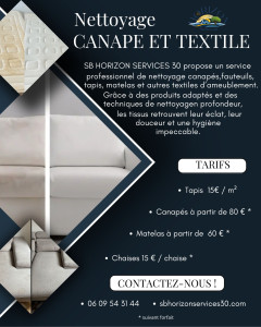 Photo de galerie - Nettoyage canapé