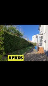 Photo de galerie - Taille de haies et d'arbustes