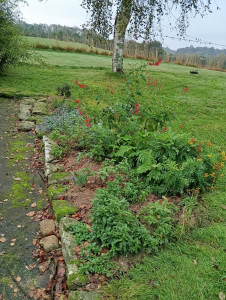 Photo de galerie - Création de massive aromatique