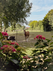 Photo de galerie - Garde 