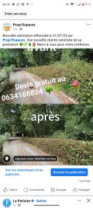 Photo de galerie - Taille de haie effectuée sur la commune de Rieumes le 31/07/2025. 