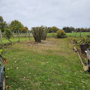 Photo de galerie - Après 