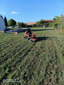 Photo de galerie - Tonte remise en état 