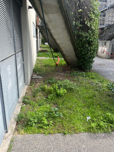 Photo de galerie - Avant intervention