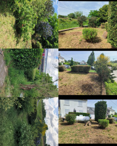 Photo de galerie - AVANT / APRÈS
Un jardin entretenu, c'est un extérieur qui retrouve tout son charme.
Taille des haies, des arbustes et nettoyage des abords pour un résultat net et harmonieux.
DT Multiservices