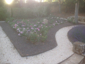 Photo de galerie - Création d'une roseraie