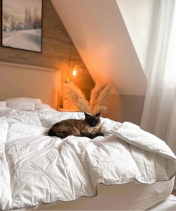 Photo de galerie - Gros dodo de Naya