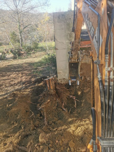 Photo de galerie - Dessouchage souche mini pelle 2.7t 