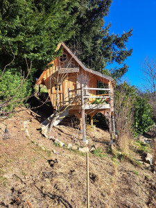 Photo de galerie - Création d'une cabane pour enfants avec terrasse surplombant un double bassin avec ponton et sa petite plage de sable, plantation de végétaux grimpants au pied de la cabane type vigne...