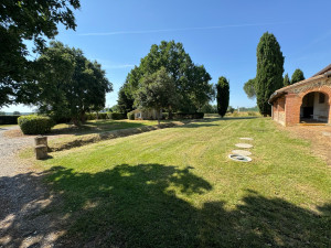 Photo de galerie - Tonte de pelouse - Débroussaillage