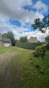 Photo de galerie - Taille d’une haie varié