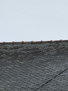 Photo de galerie - Couverture - Toiture