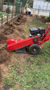 Photo de galerie - Elagage et coupe d'arbres