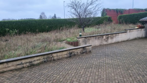 Photo de galerie - Tonte de pelouse - Débroussaillage