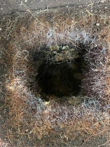 Photo de galerie - Terrassement - Assainissement