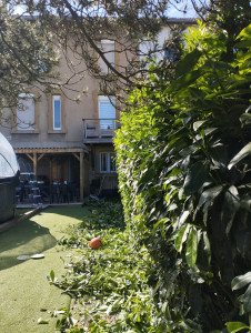 Photo de galerie - Chantier sur joeuf, taillage de haie de 50m