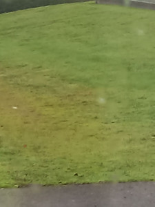 Photo de galerie - Tonte de pelouse