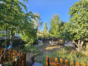 Photo de galerie - Elagage 