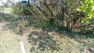 Photo de galerie - Avant après 