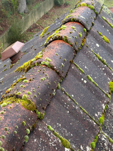 Photo de galerie - Nettoyage des mousse toiture 